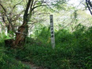 田頭城の案内板