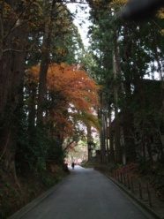 坂上駐車場より境内に向かう道