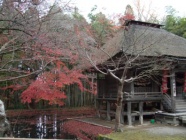 美しい紅葉