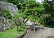 盛岡城址