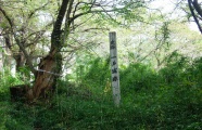 北奥の風景 一戸城址 北奥の風景 一戸城址