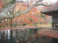 北奥の風景　晩秋の中尊寺