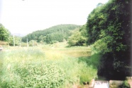 芦名沢一帯の風景