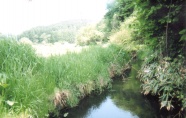 芦名橋の下を流れる沢目川